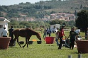 04 VARIE visite